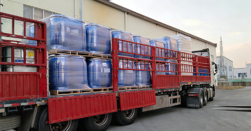 Rapid Delivery Service