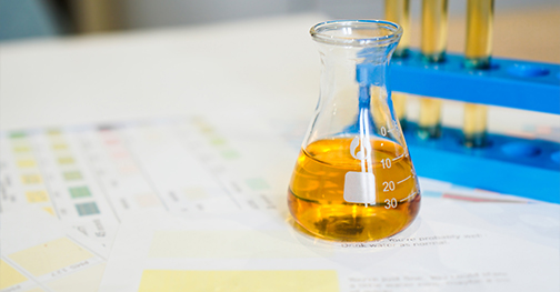 Continuous R&D and New Product Sharing Services