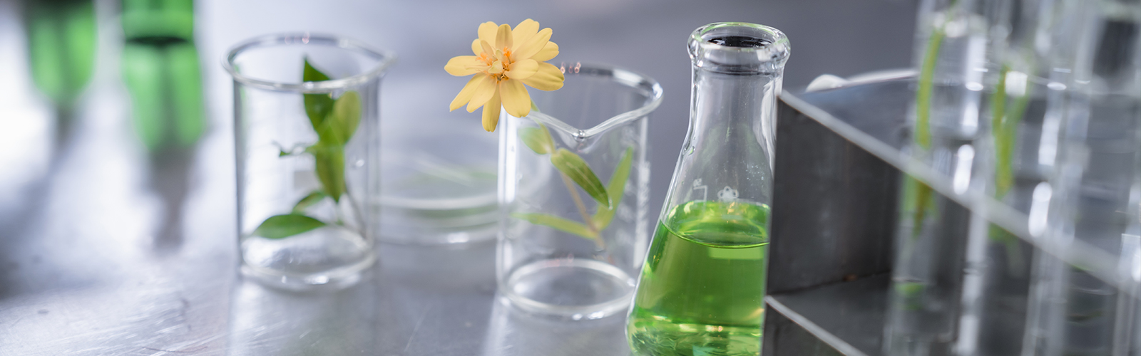 Suzhou Qingtian New Material Co., Ltd.